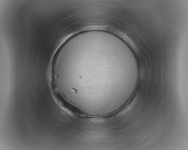 X0000111130844200907141209