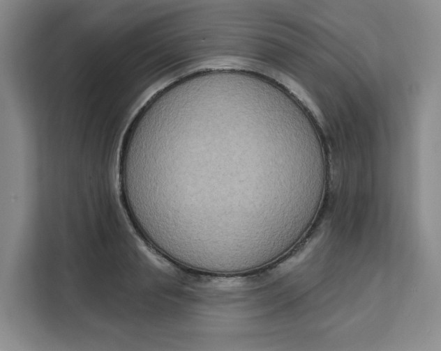 X0000111130845200907141209