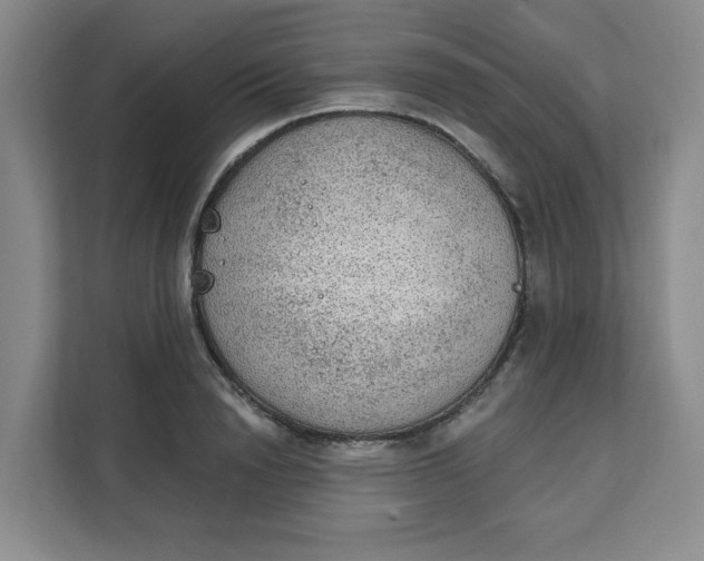 X0000111130846200907141209