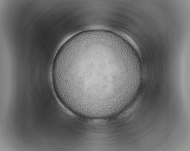 X0000111130847200907141209