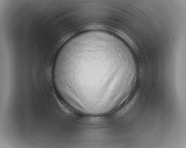 X0000111130849200907141209
