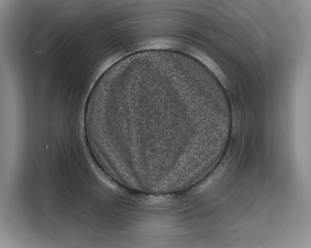 X0000111130850200907141209
