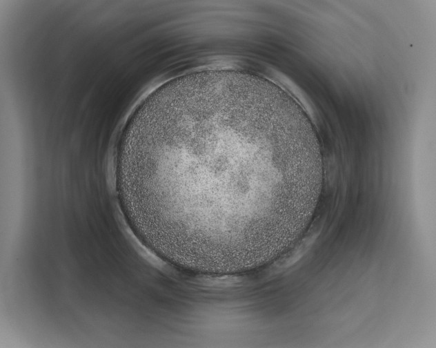 X0000111130851200907141209