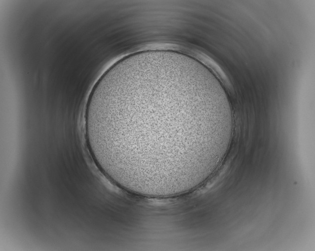 X0000111130852200907141209