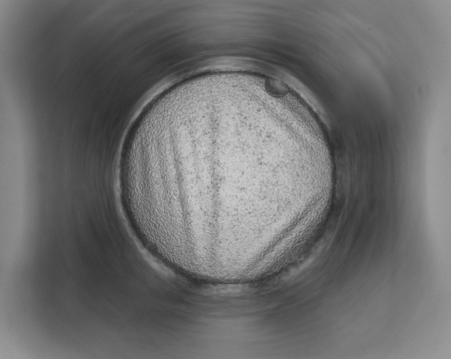 X0000111130853200907141209