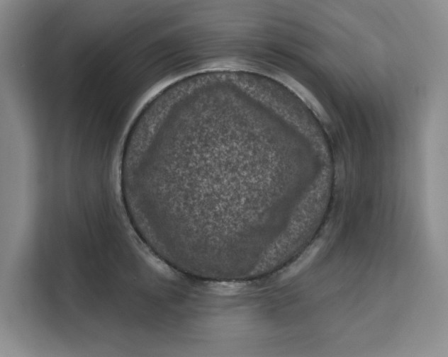 X0000111130854200907141209