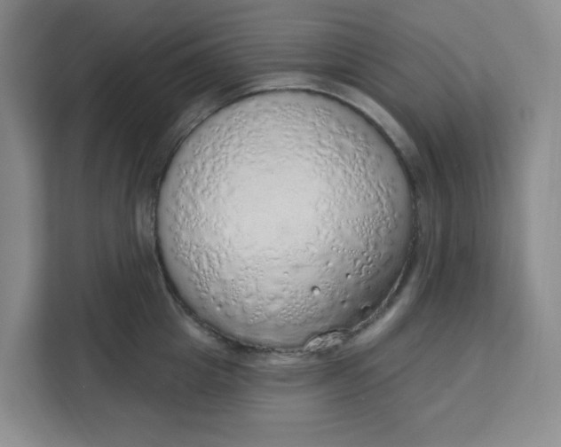 X0000111130857200907141209