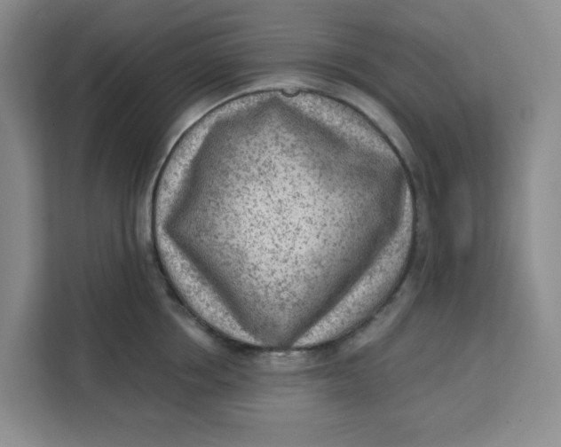 X0000111130858200907141209