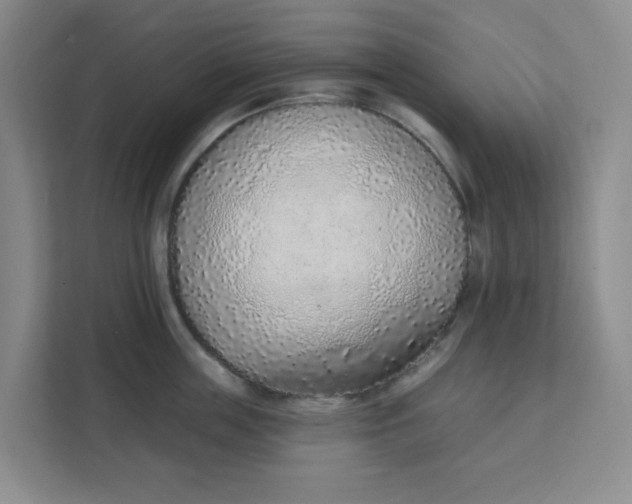 X0000111130859200907141209