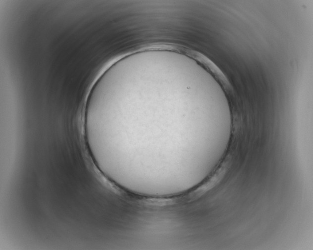 X0000111130860200907141209