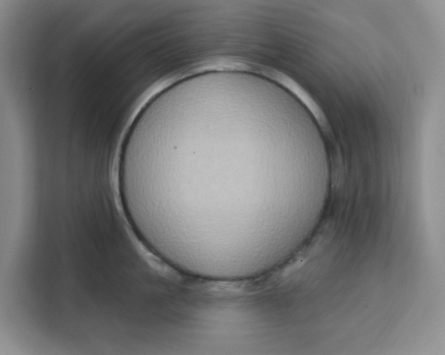 X0000111130861200907141209