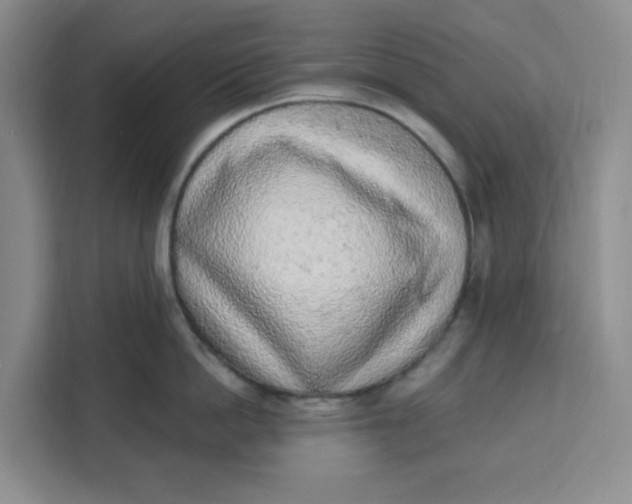 X0000111130862200907141209