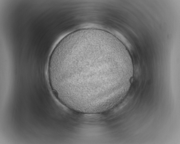 X0000111130863200907141209