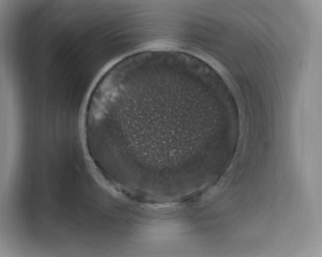 X0000111130864200907141209