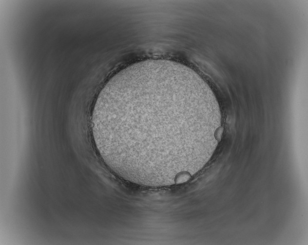 X0000111130865200907141209
