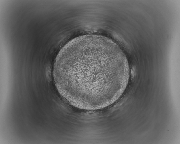 X0000111130867200907141209