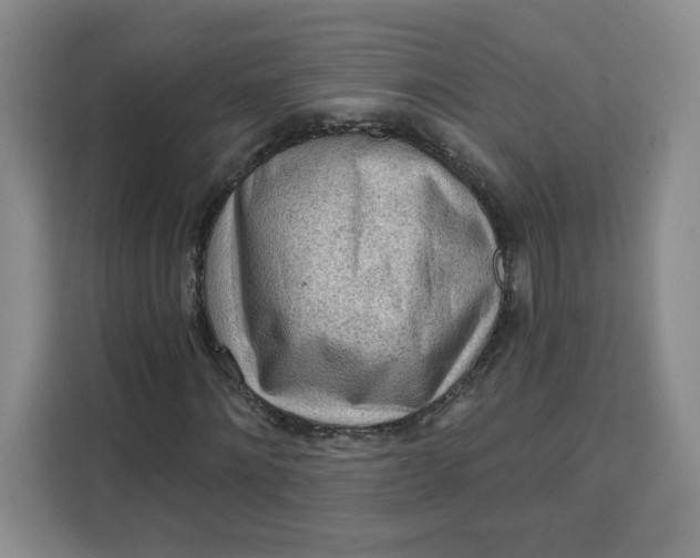 X0000111130868200907141209
