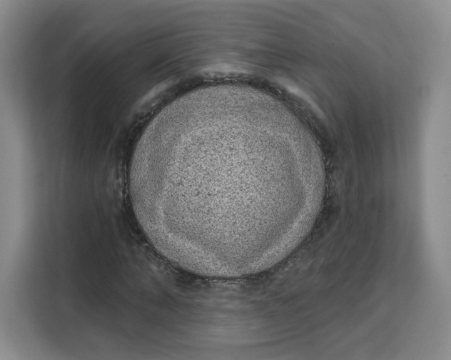 X0000111130870200907141209