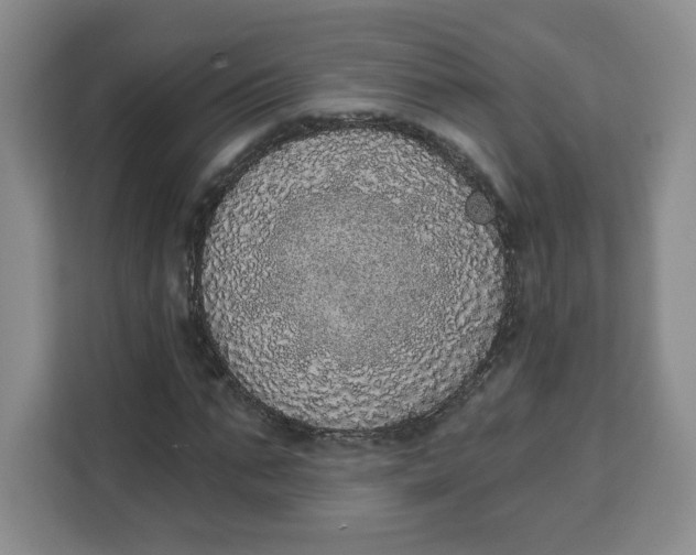 X0000111130871200907141209
