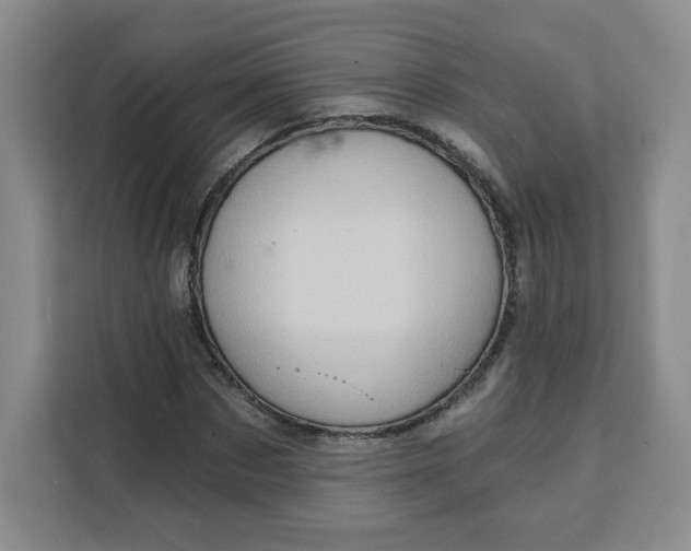 X0000111130873200907141209