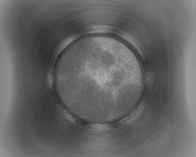 X0000111130874200907141209