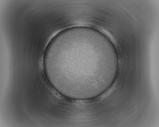 X0000111130875200907141209