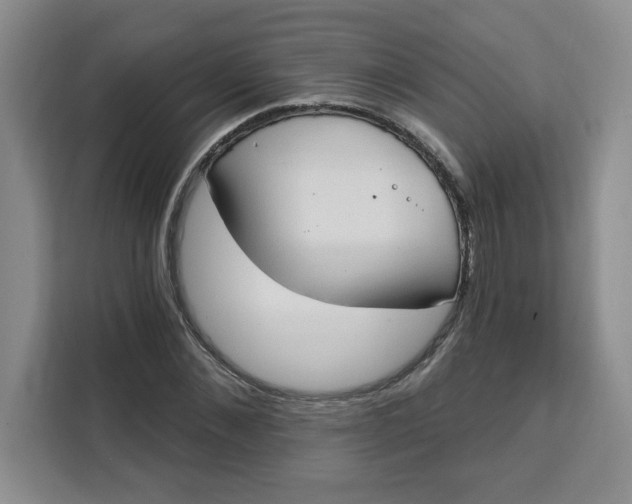 X0000111130876200907141209