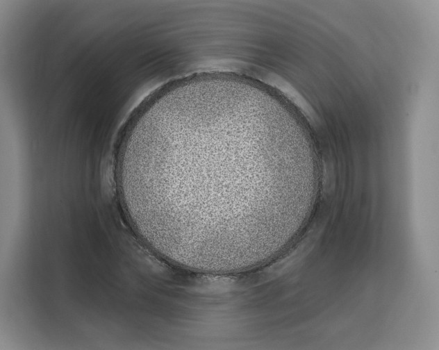 X0000111130878200907141209