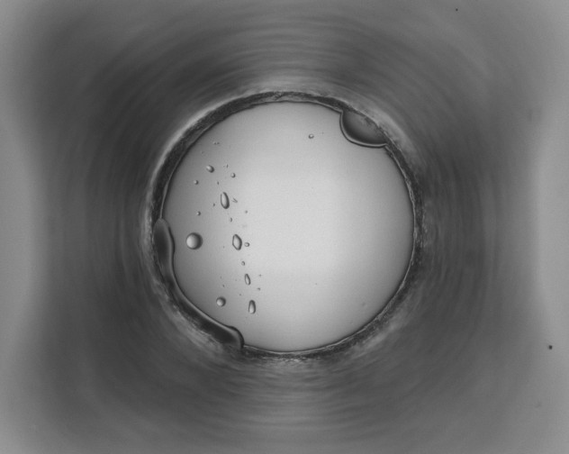 X0000111130880200907141209