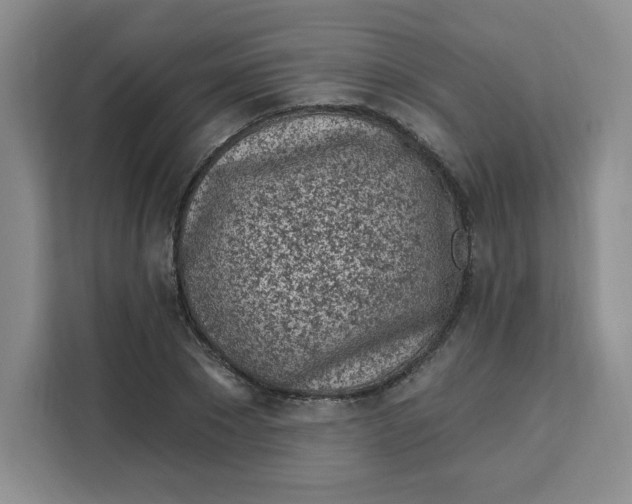 X0000111130881200907141209