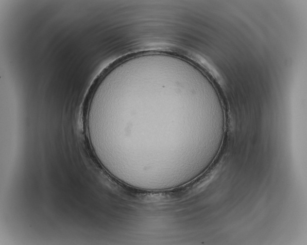 X0000111130883200907141209