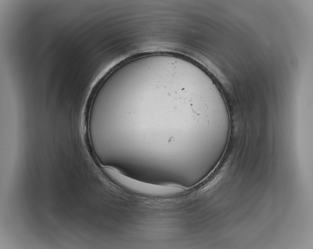 X0000111130885200907141208
