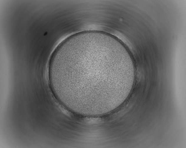 X0000111130886200907141208