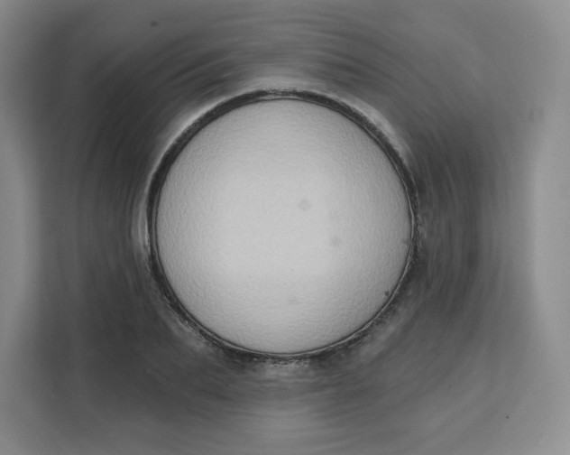 X0000111130887200907141208