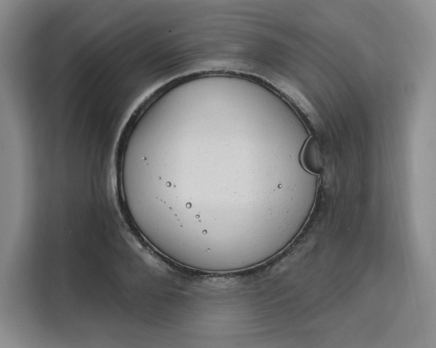 X0000111130888200907141208