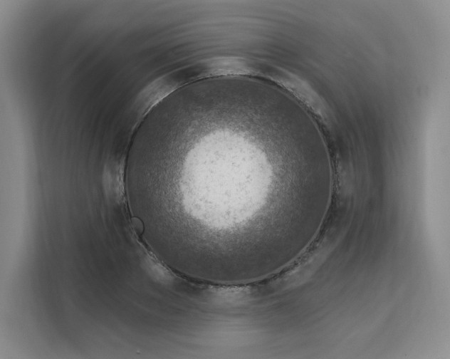 X0000111130889200907141208