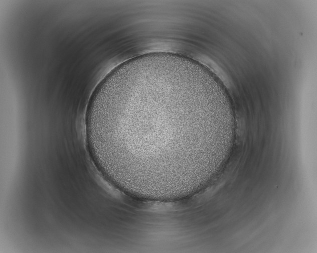 X0000111130890200907141208