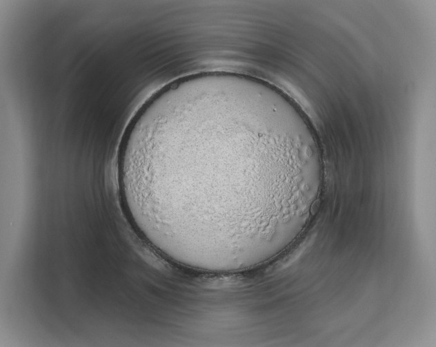X0000111130891200907141208
