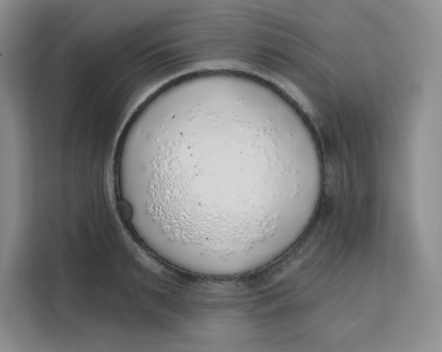 X0000111130895200907141208