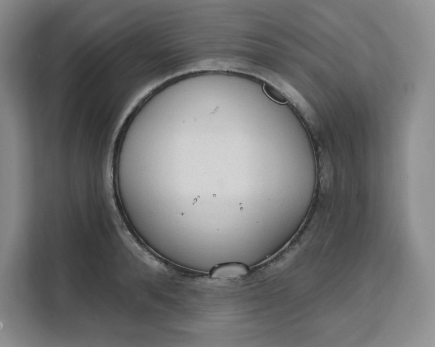 X0000111130896200907141208
