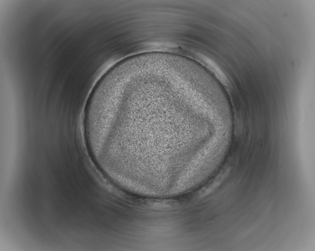 X0000111130899200907141208