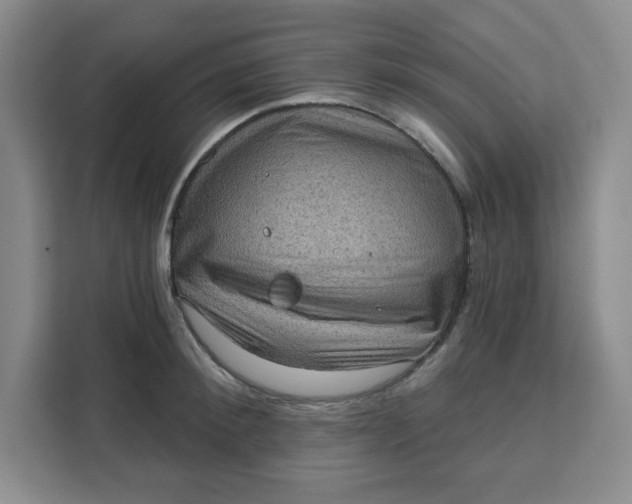 X0000111130900200907141208
