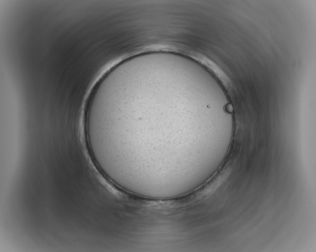 X0000111130902200907141208
