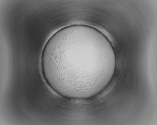 X0000111130903200907141208
