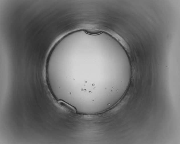 X0000111130904200907141208