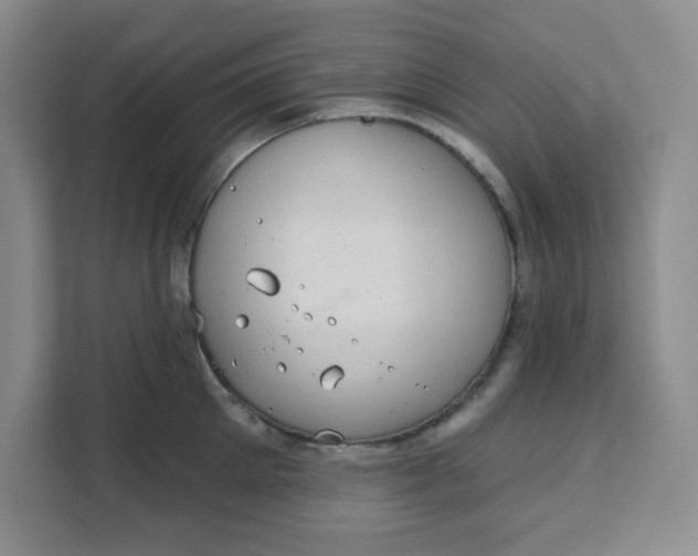 X0000111130905200907141208