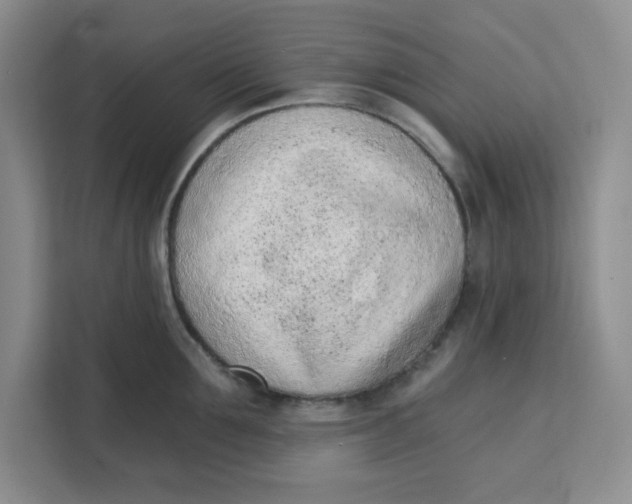 X0000111130907200907141208