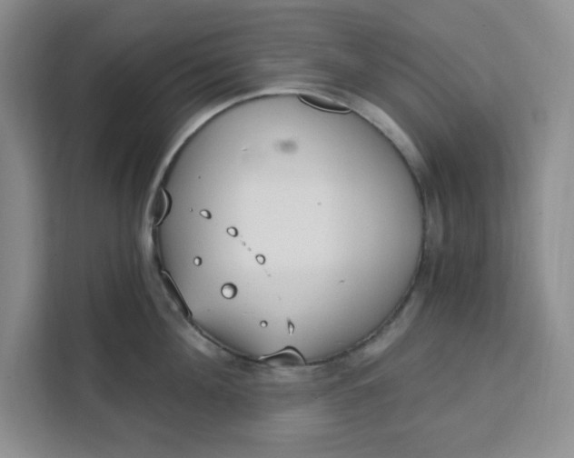 X0000111130908200907141208