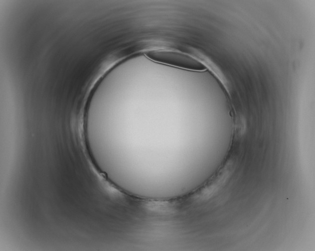 X0000111130909200907141208