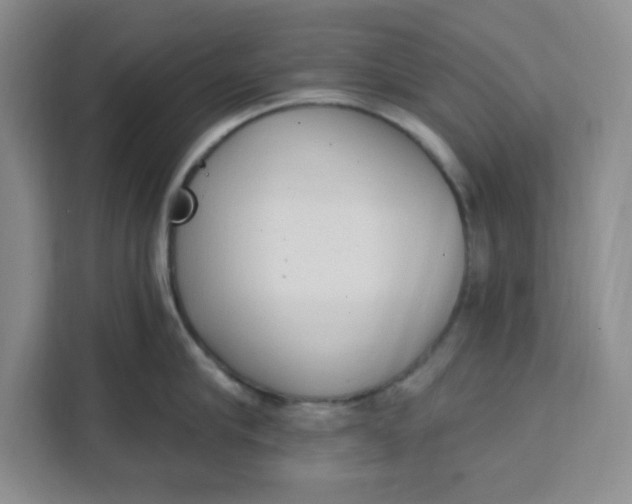 X0000111130910200907141208